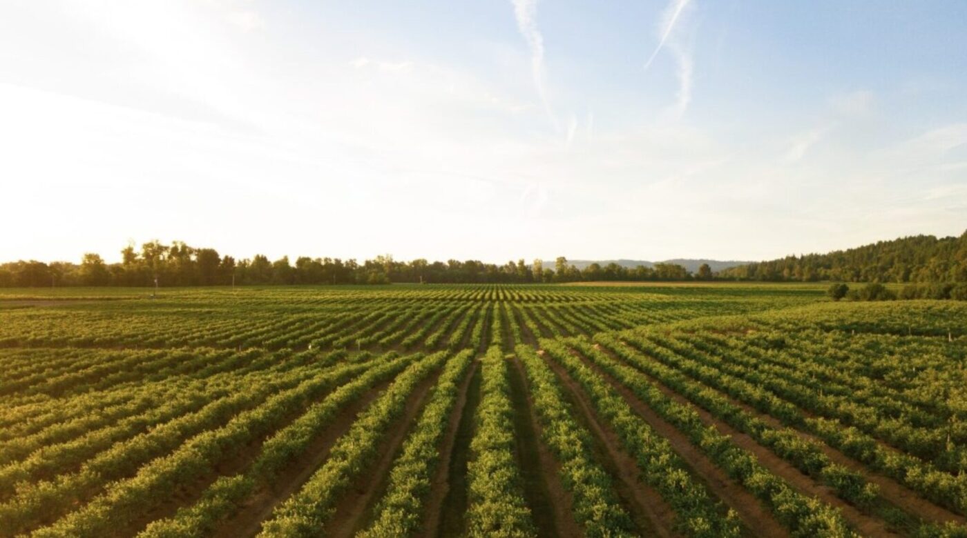 nuovo impianto agrivoltaico emilia romagna